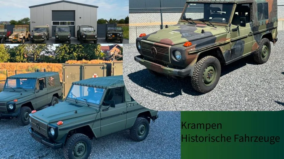 Mercedes-Benz Gd250 Wolf
