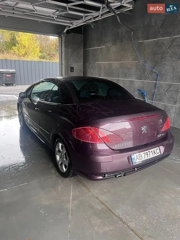 Peugeot 307 2005 photo 5