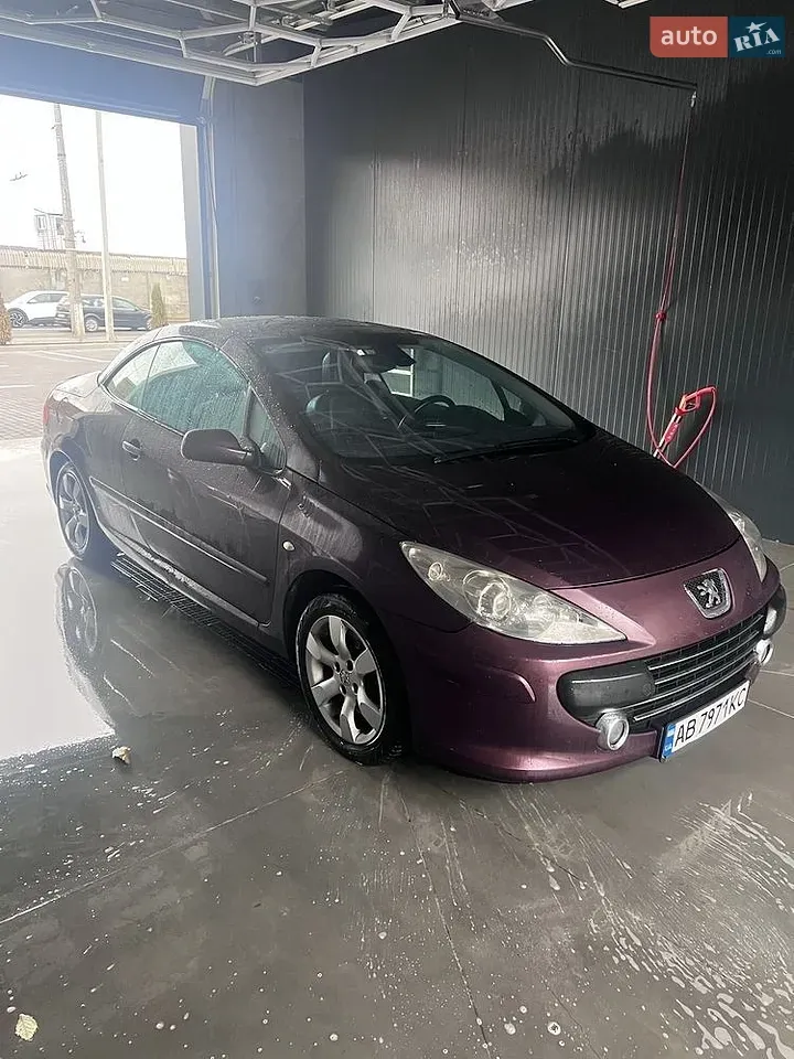 Peugeot 307 2005 photo 3