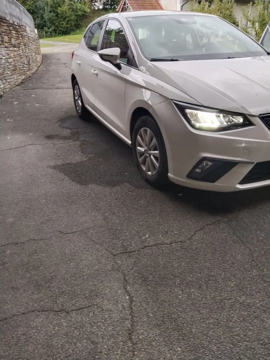 Seat Ibiza 2022 photo 2
