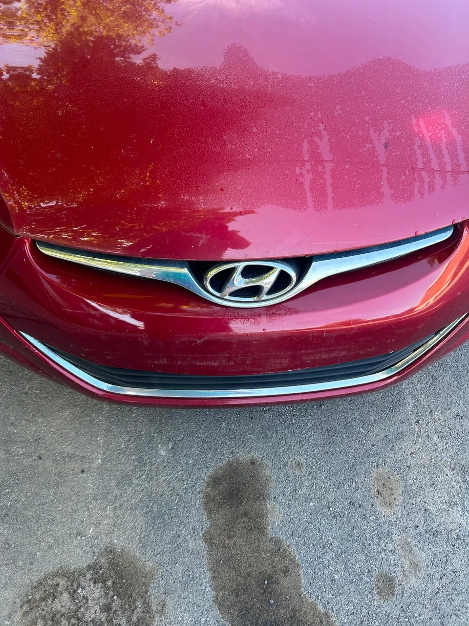 Hyundai Elantra 2015 photo 4
