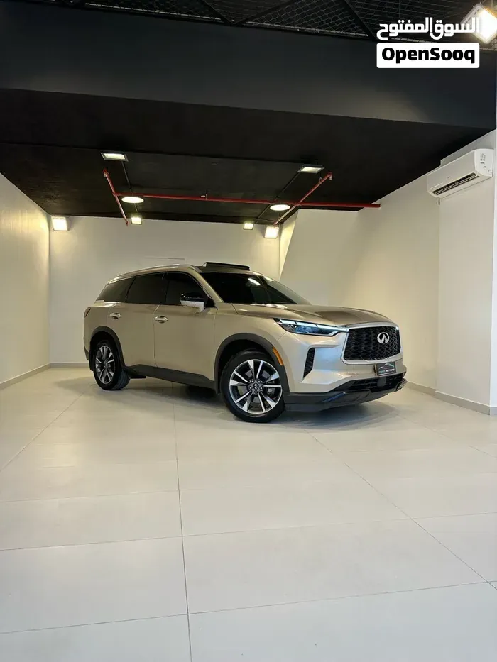 Infiniti Qx60 2023 photo 2