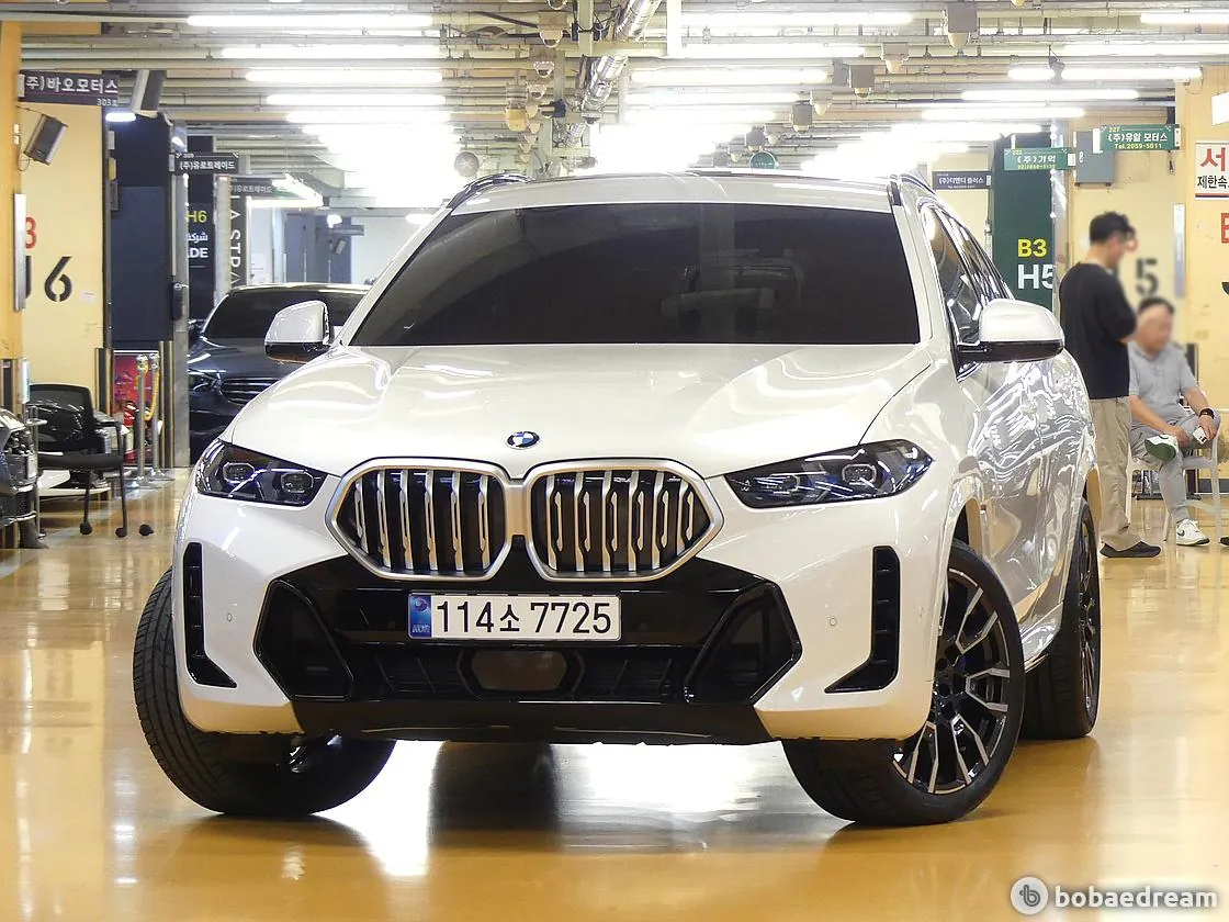 BMW X6