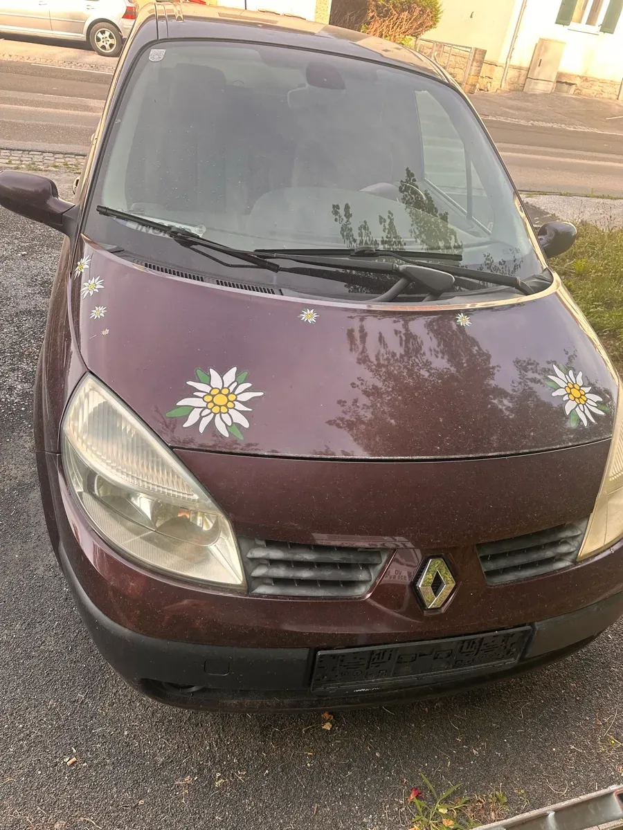 Renault Scenic 2004 photo 3