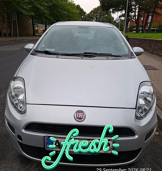 Fiat Punto 2012 photo 2