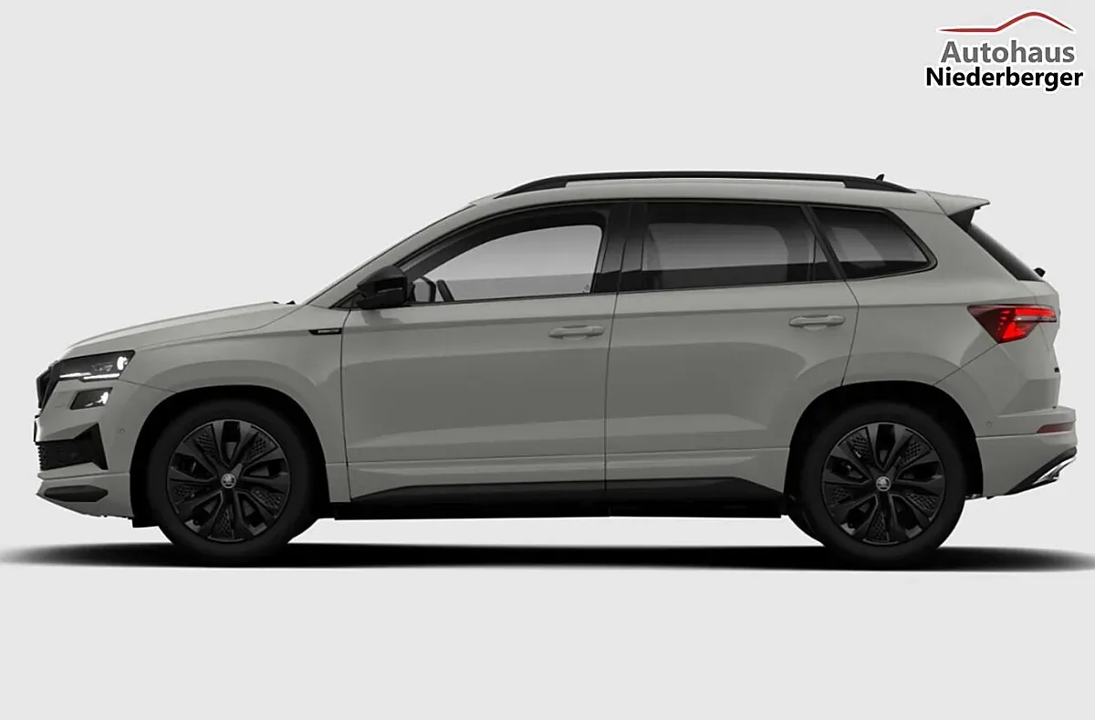 Skoda Karoq 2026 photo 2
