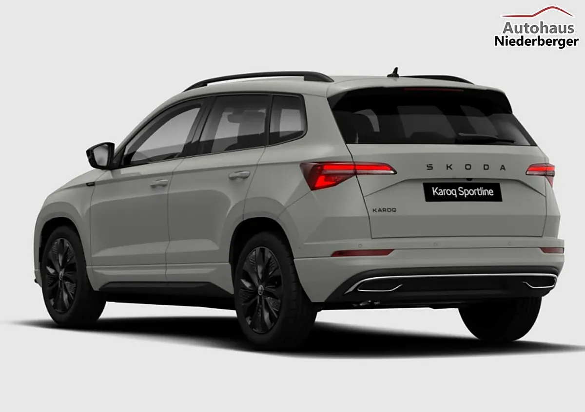 Skoda Karoq 2026 photo 3