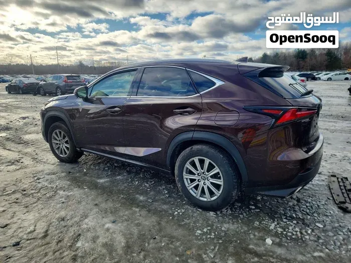 Lexus Nx 2019 photo 2