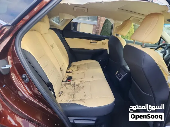 Lexus Nx 2019 photo 4