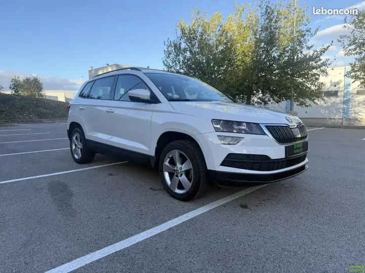 Skoda Karoq 2020 photo 3