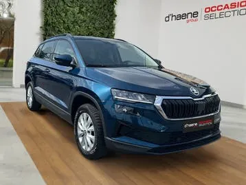 Skoda Karoq 2023 photo 3