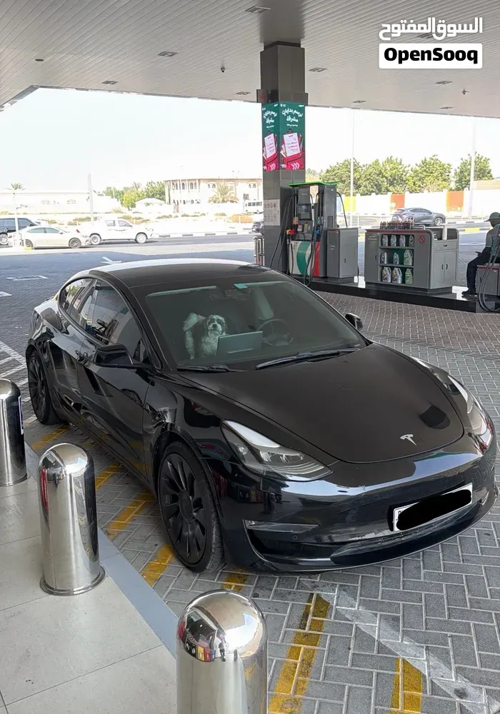 Tesla Model 3 2021 photo 2