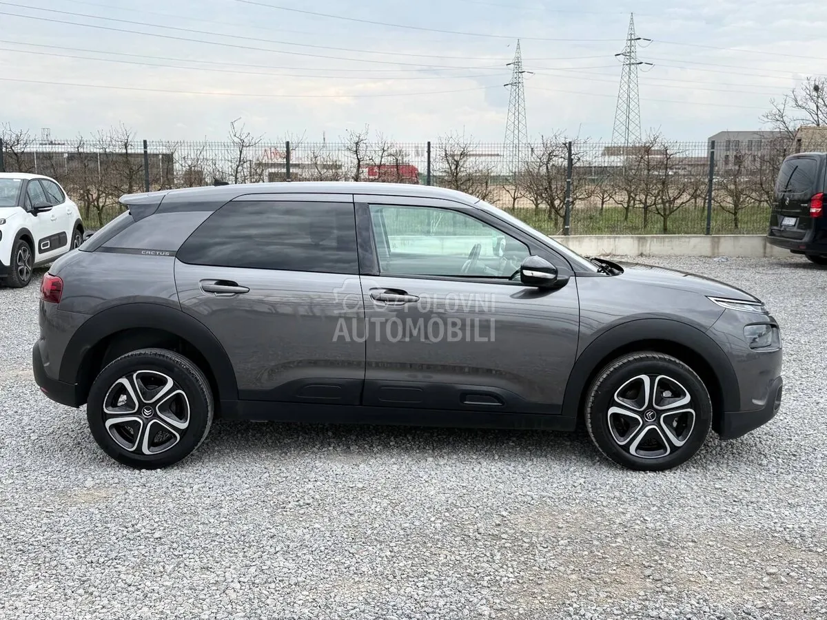 Citroen C4 Cactus 2020 photo 4