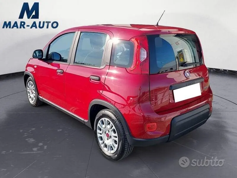 Fiat Panda 2024 photo 2