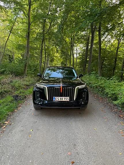 Hongqi E-Hs9
