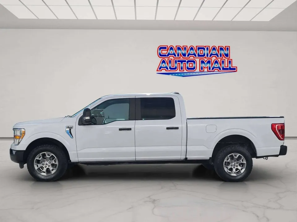 Ford F-150 2022 photo 4