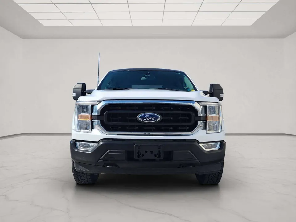 Ford F-150 2022 photo 2