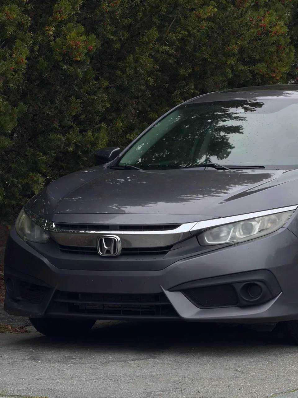 Honda Civic 2016 photo 3