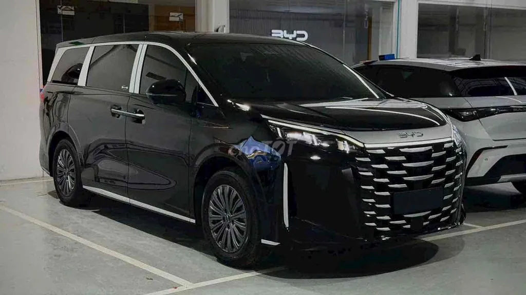 BYD M9