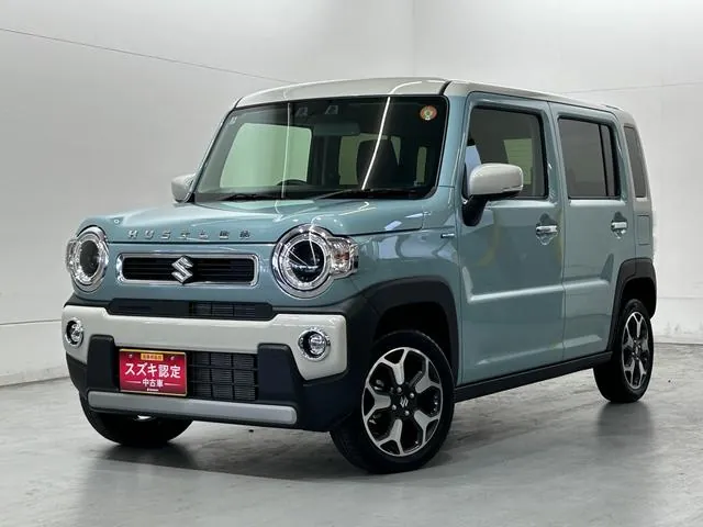 Suzuki Hailler Hybrid X