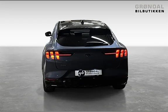Ford Mustang Mach-E 2023 photo 5