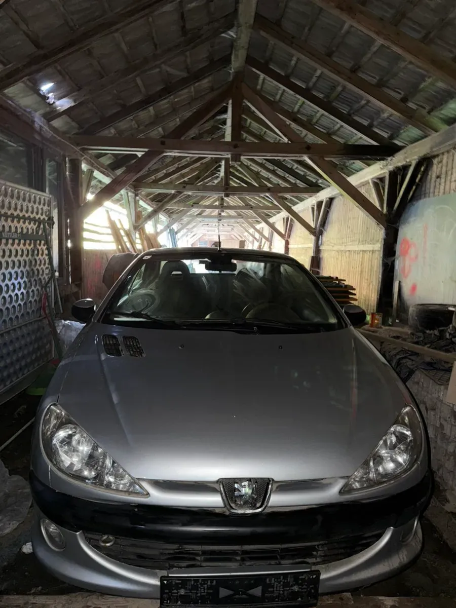 Peugeot 206