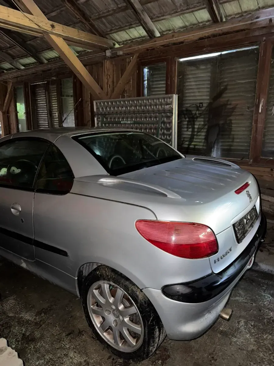 Peugeot 206 2010 photo 3
