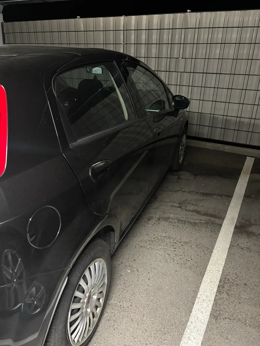 Fiat Punto 2008 photo 2