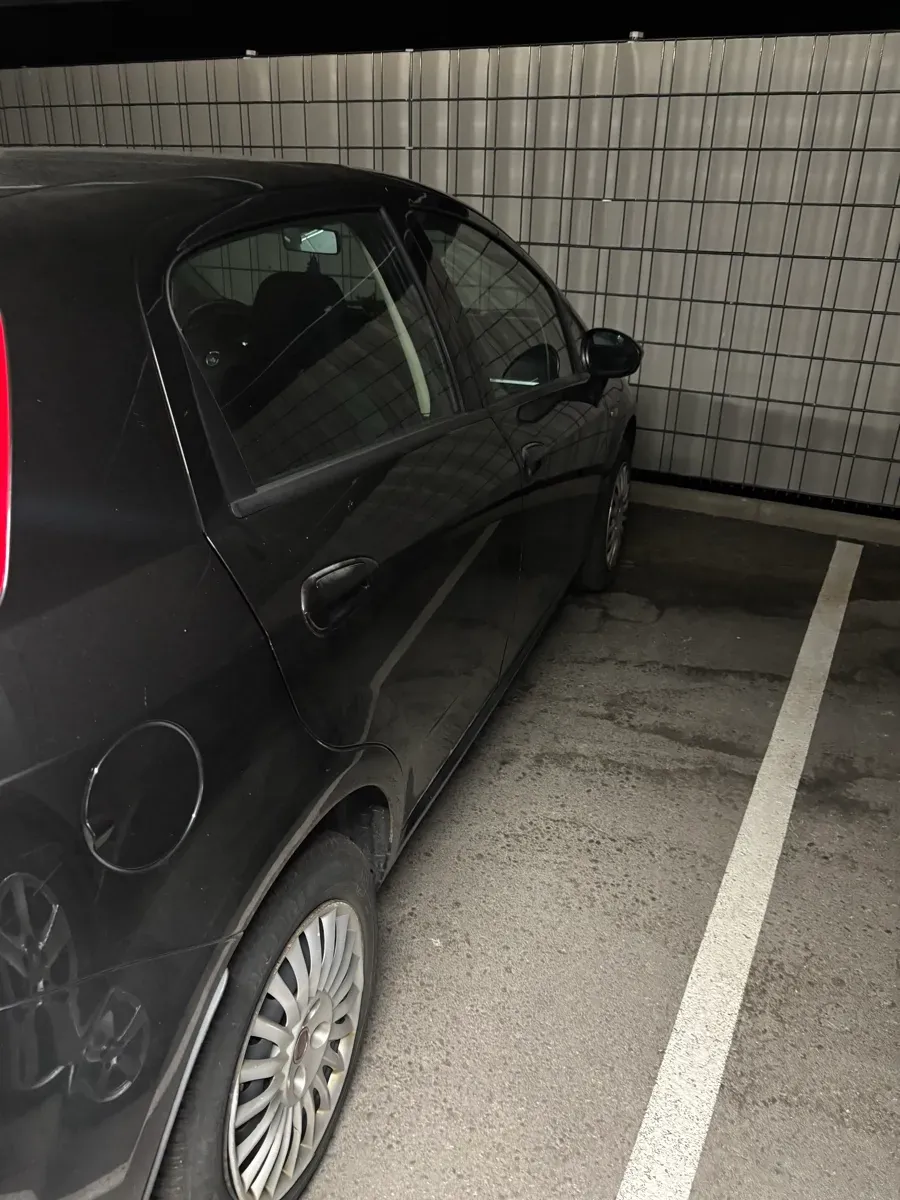 Fiat Punto 2008 photo 3