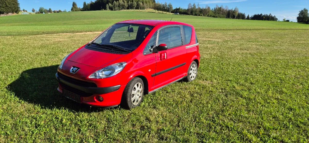 Peugeot 1007 2005 photo 2
