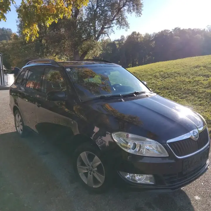Skoda Fabia 2014 photo 2