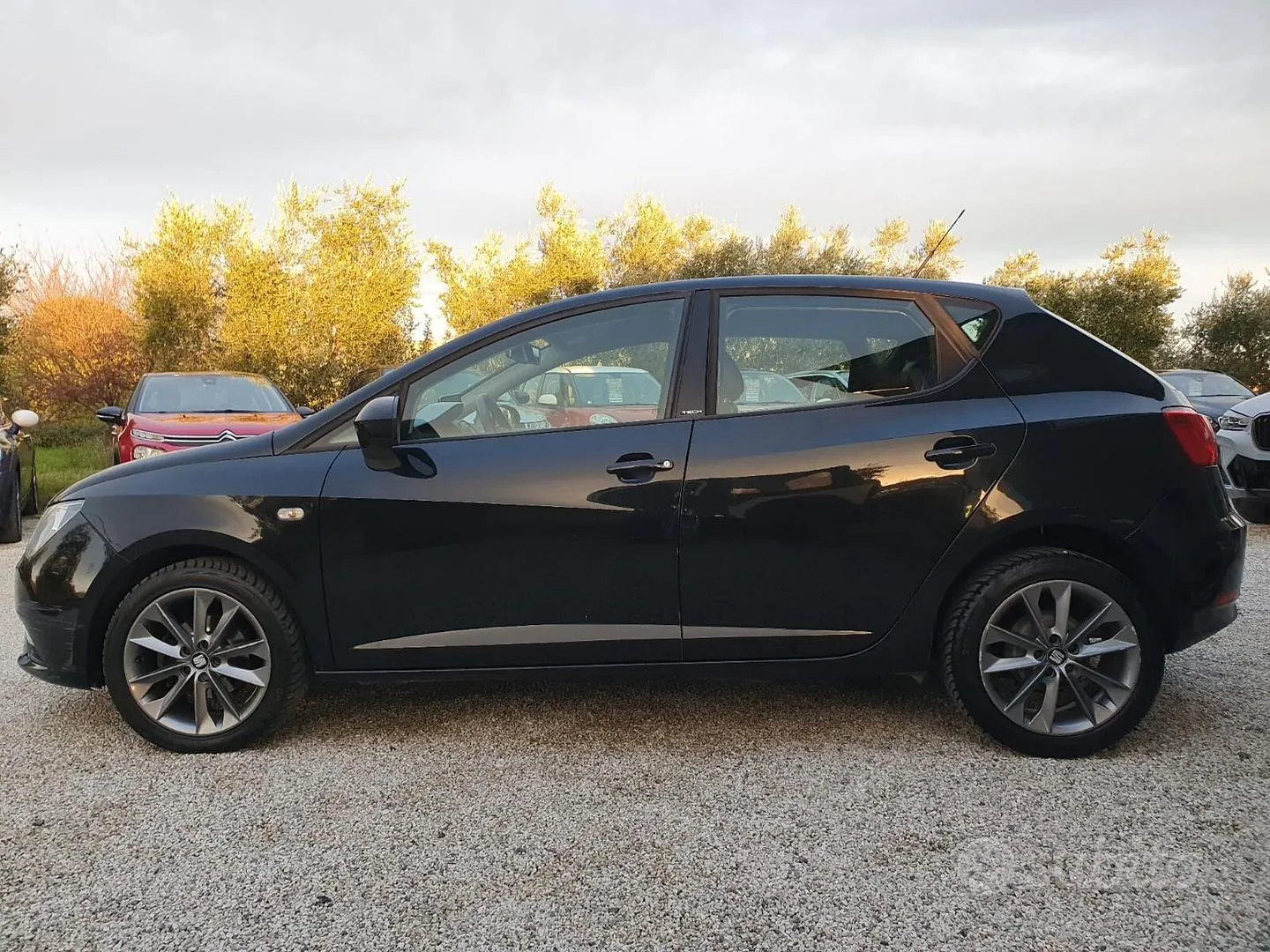 Seat Ibiza 2015 photo 4