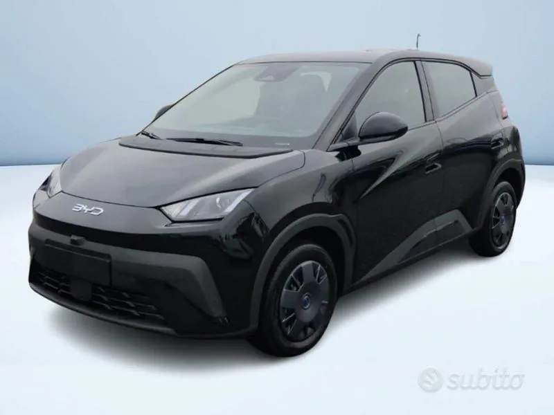 BYD Dolphin Surf