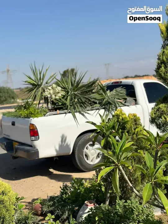Toyota Tundra 2004 photo 4