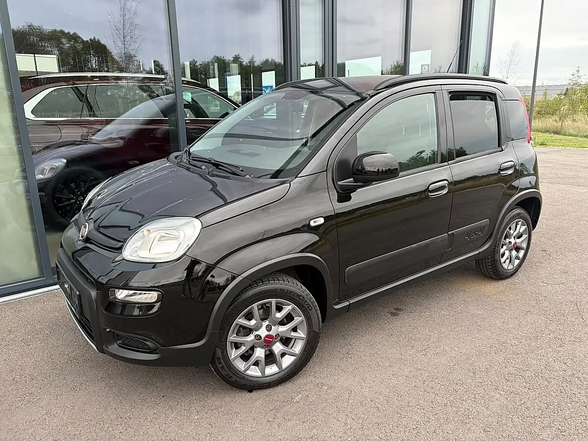 Fiat Panda 2019 photo 2