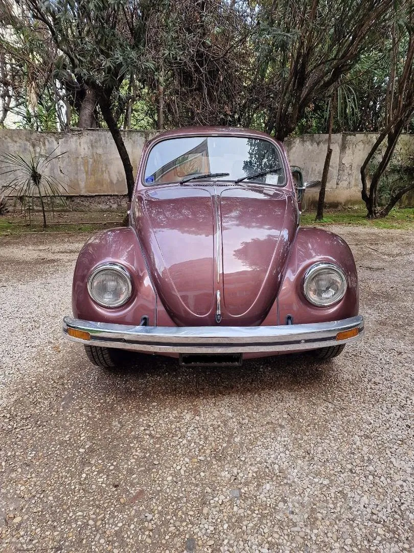 Volkswagen Maggiolino