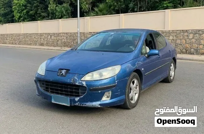 Peugeot 407 2007 photo 3