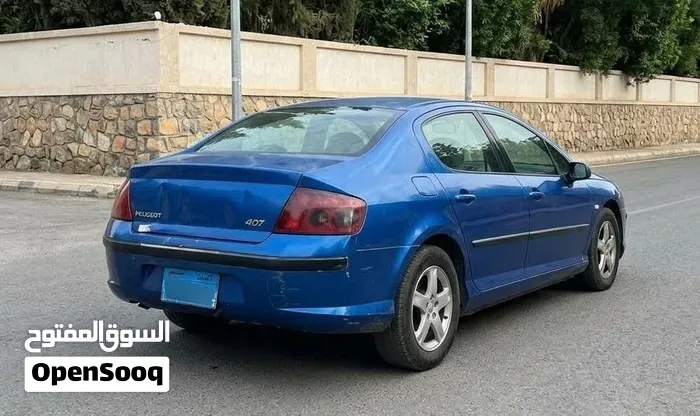 Peugeot 407 2007 photo 4