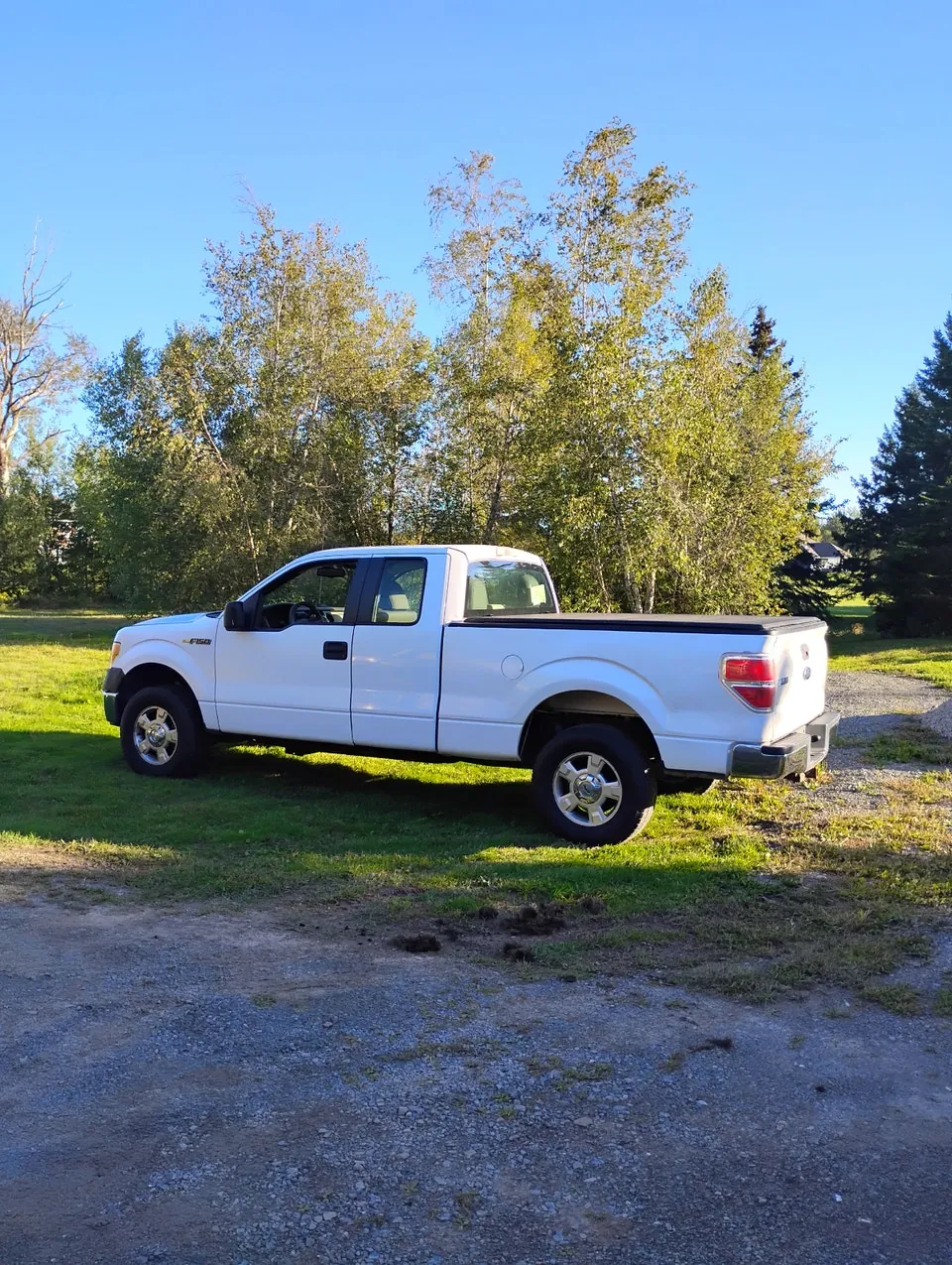 Ford F-150 2010 photo 4