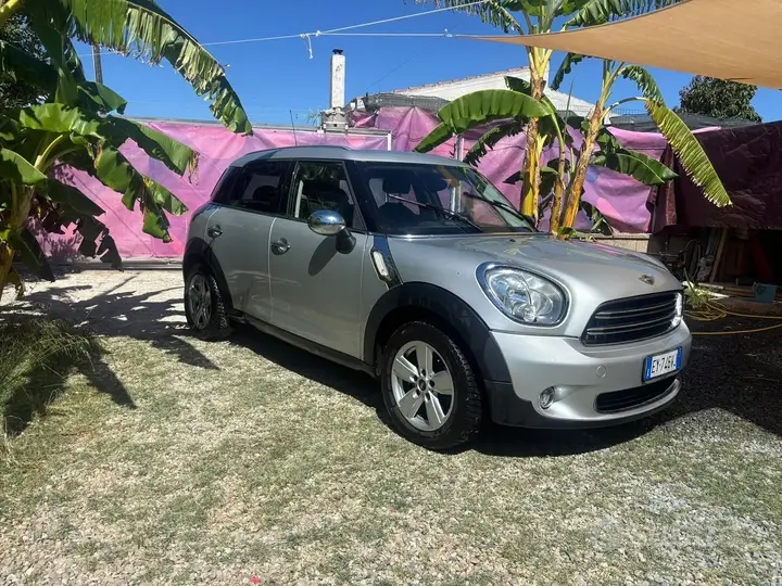 Mini Mini Countryman