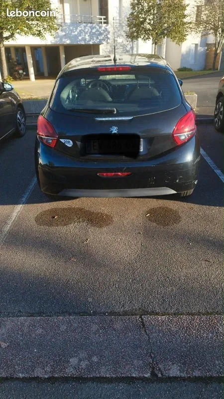 Peugeot 208 2018 photo 2