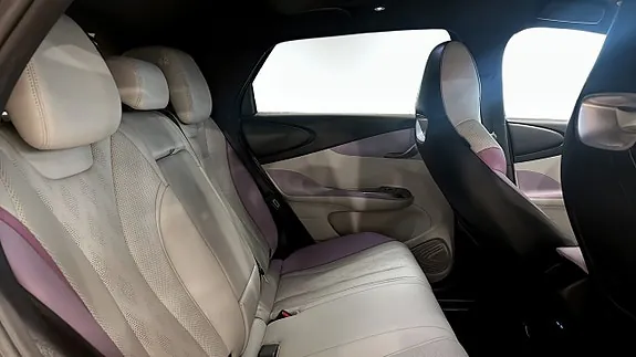 BYD Dolphin 2023 photo 5