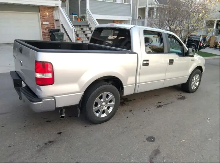 Ford F-150 2006 photo 3