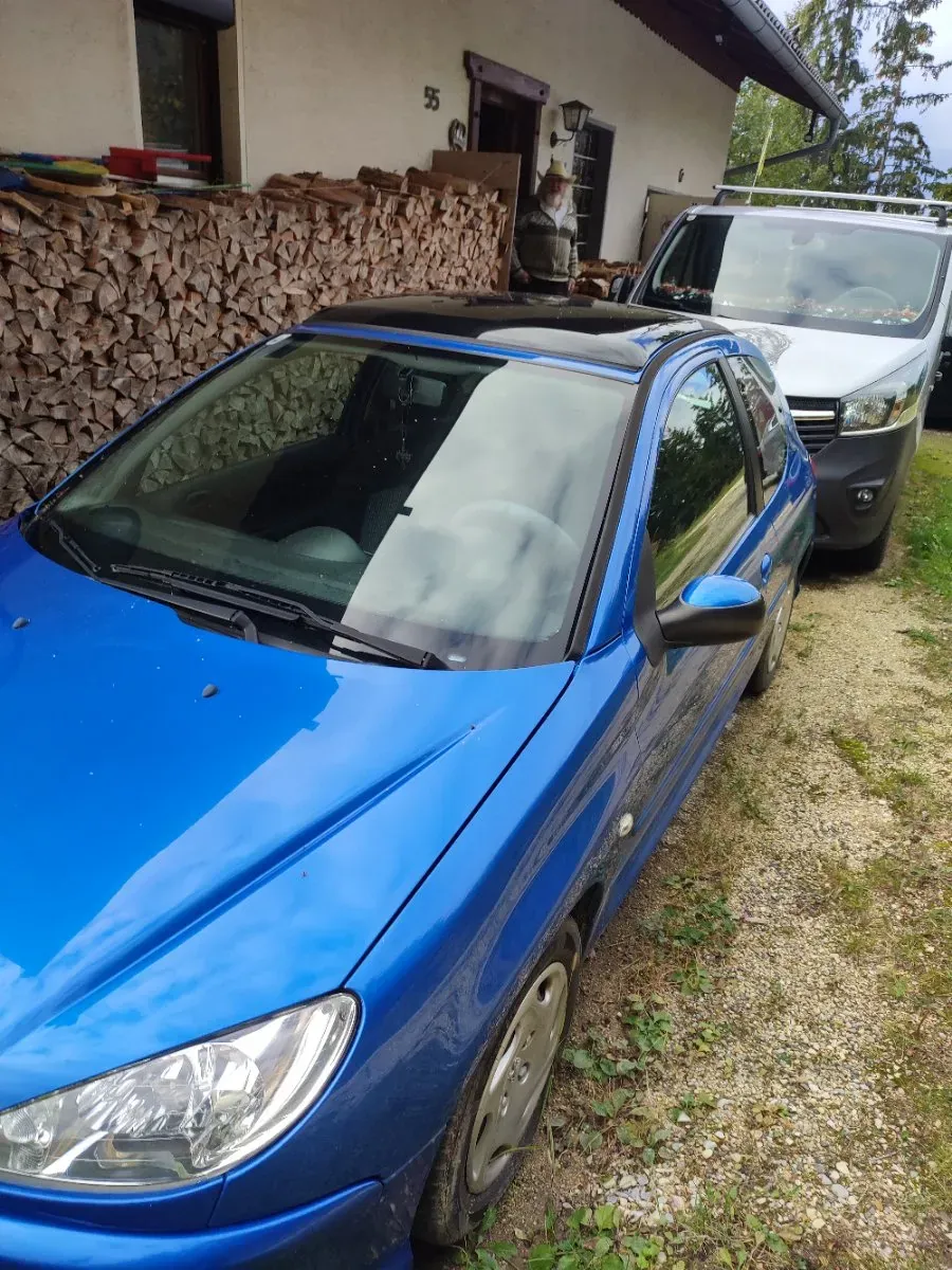 Peugeot 206 2005 photo 3