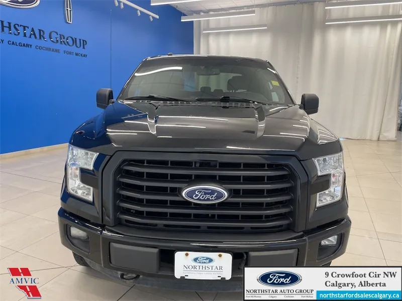 Ford F-150 2016 photo 2
