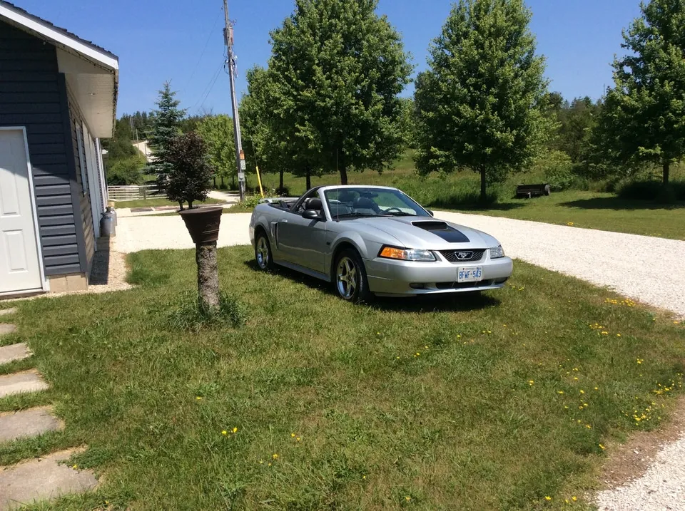 Ford Mustang 2003 photo 2