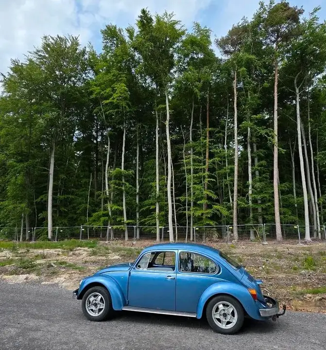 Volkswagen Käfer