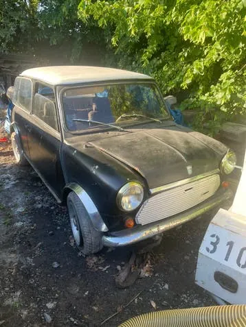 Austin Mini