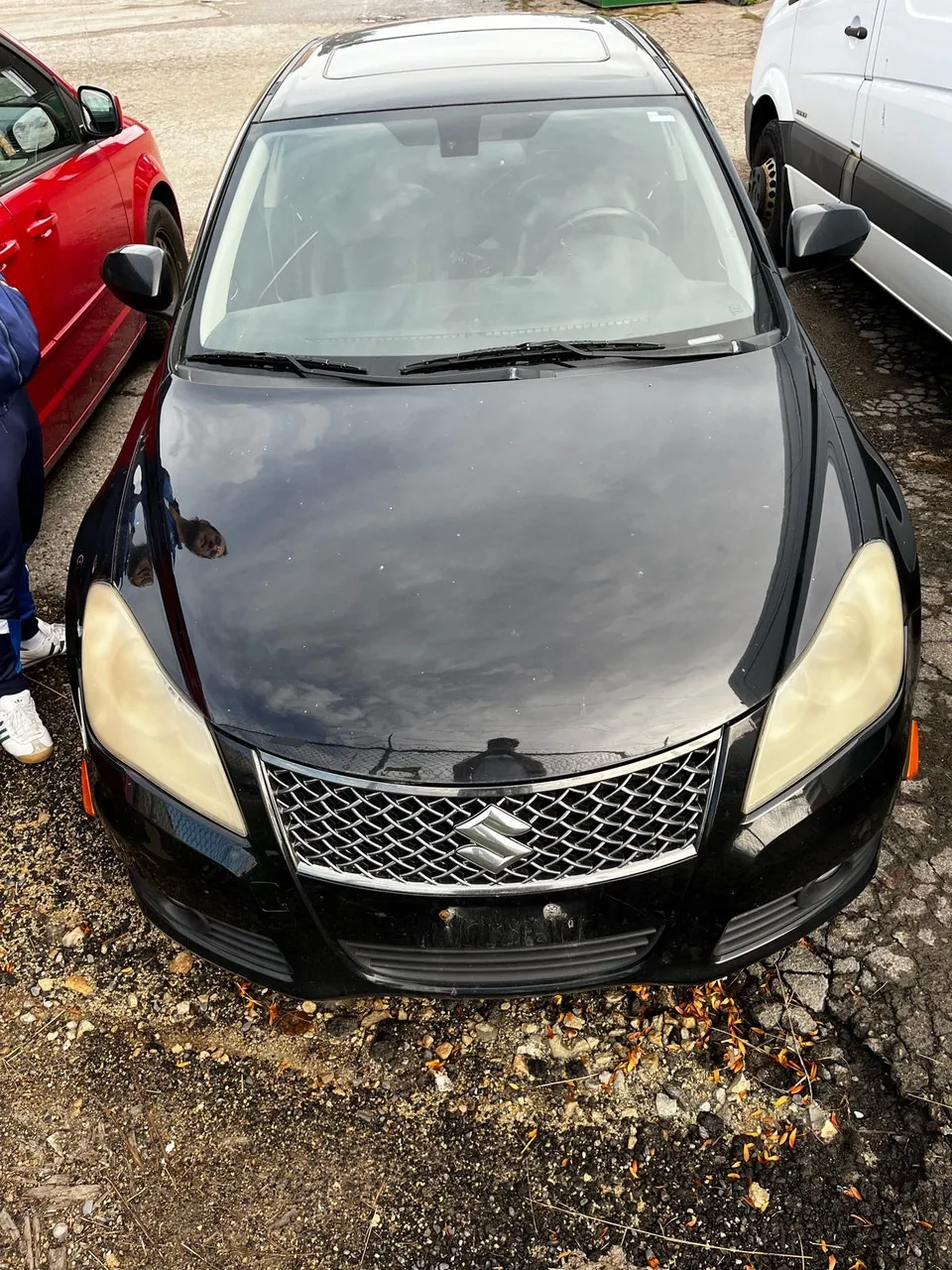 Suzuki Kizashi