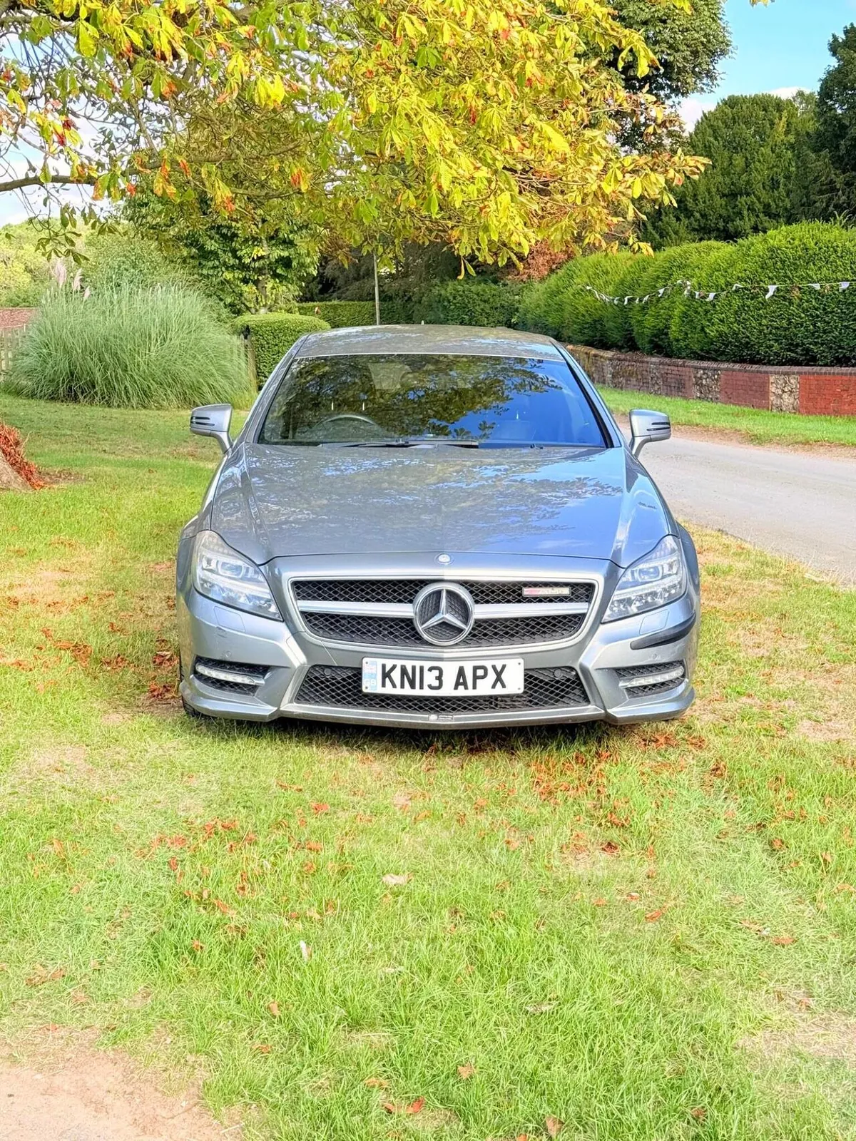 Mercedes-Benz Cls 2013 photo 2